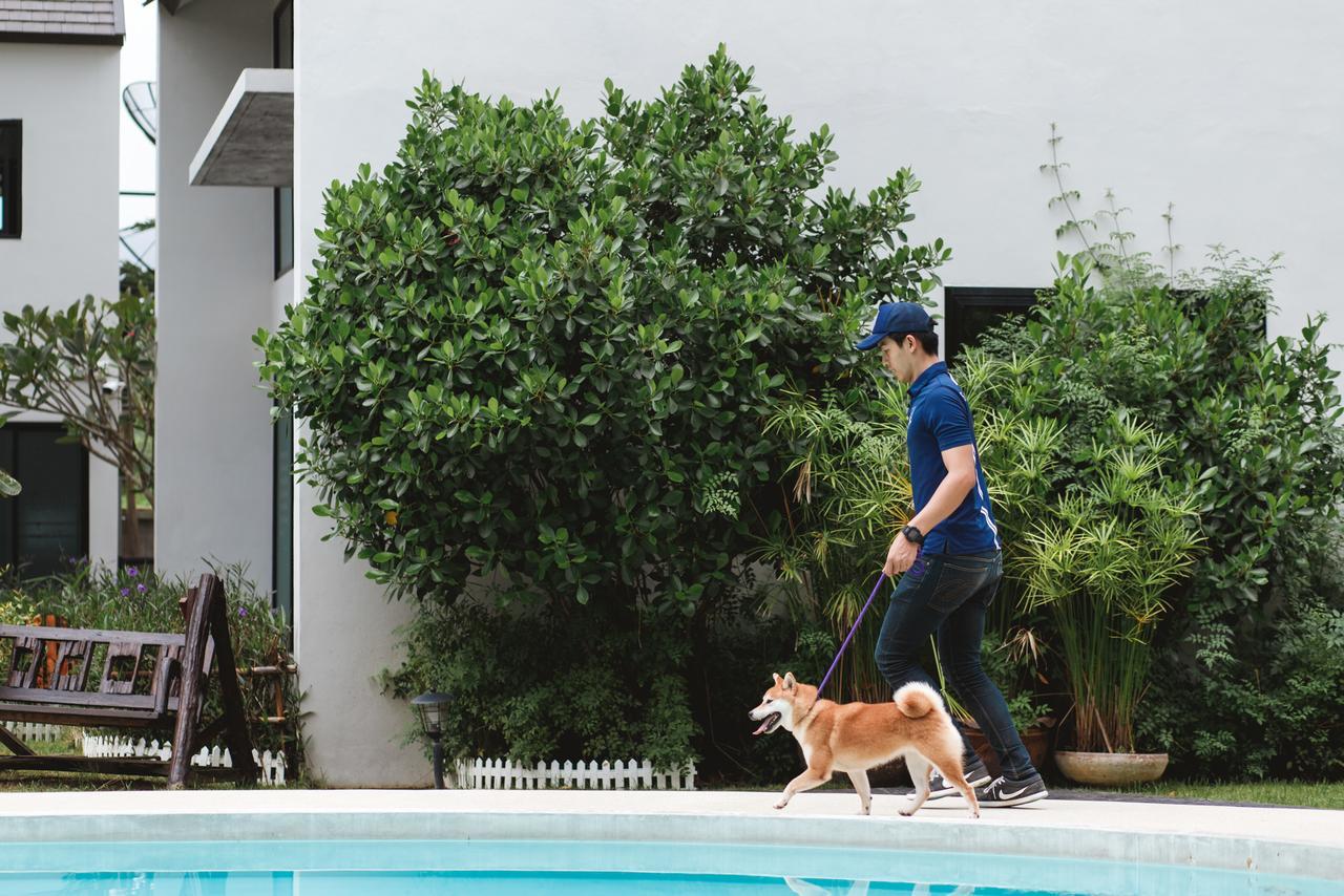 Pawtel Hotel Mae Rim Luaran gambar